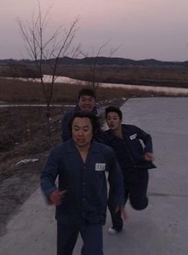 風在希望之地吹