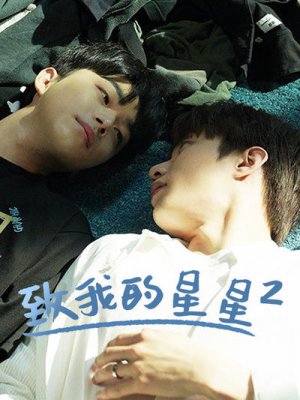 致我的星星2
