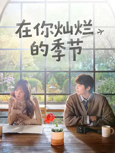 在你灿烂的季节