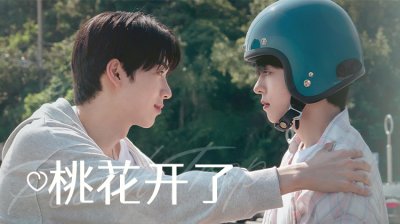 2025下半年BL黑马！韩剧《桃花开了》：母胎单身与三位男神的四季浪漫攻略